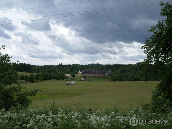 Покрово-Тервенический женский монастырь (Россия, Ленинградская область) фото