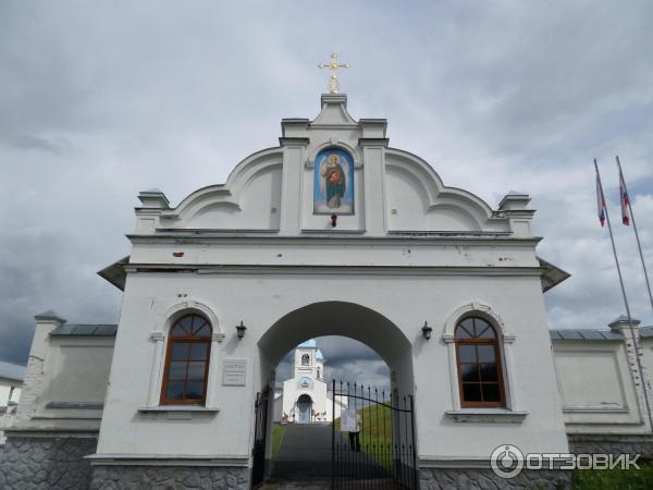 Покрово-Тервенический женский монастырь (Россия, Ленинградская область) фото