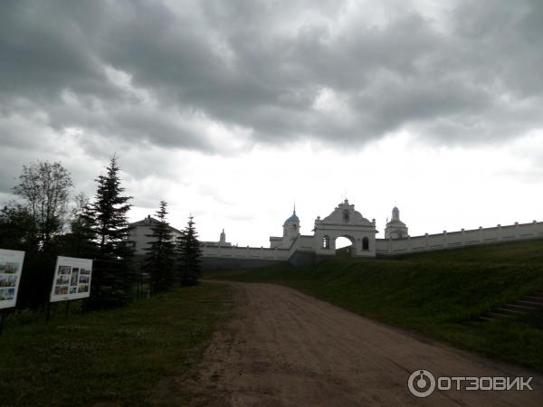 Покрово-Тервенический женский монастырь (Россия, Ленинградская область) фото