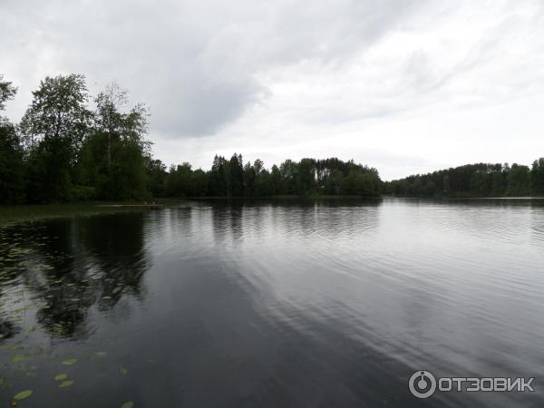 Покрово-Тервенический женский монастырь (Россия, Ленинградская область) фото