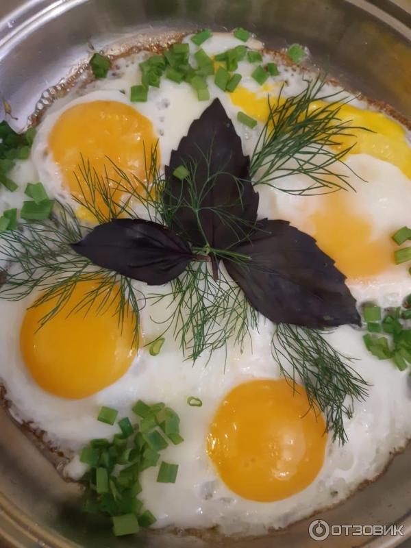 Индукционная плита Oberhof Ein S11 фото