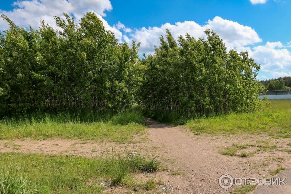 Музей авиационной техники (Беларусь, Минск) фото