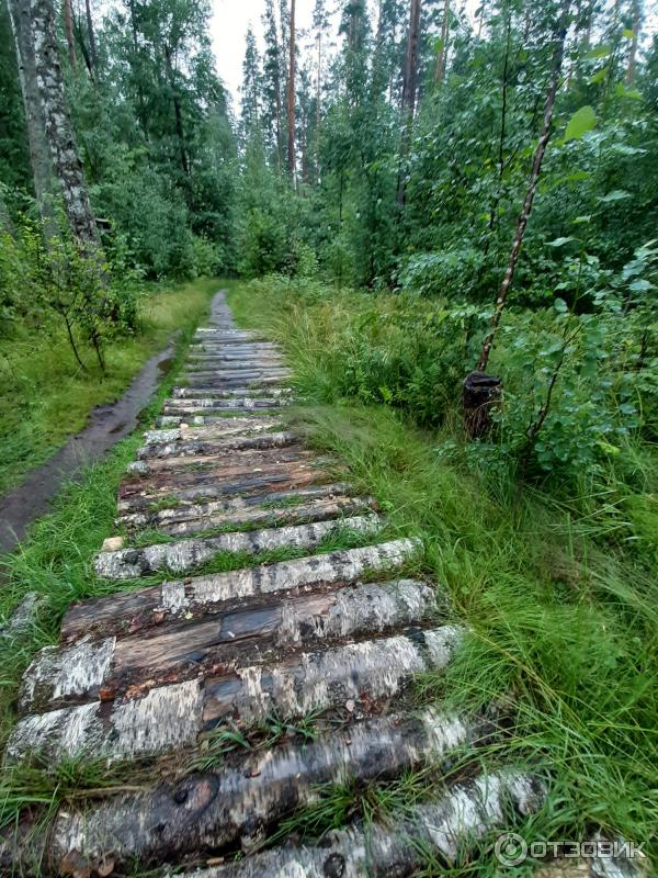 Прогнившие скользуие бревна, шевелятся при ходьбе