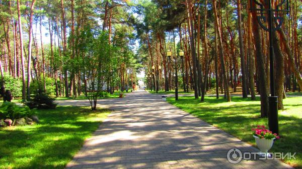 Парк старый оскол фото Отзыв о База отдыха "Вместе парк" (Россия, Старый Оскол) Замечательное место для