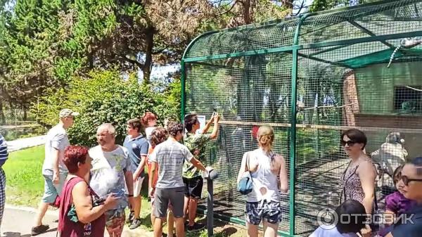 Дендрологический парк Шекветили (Грузия, Шекветили) фото