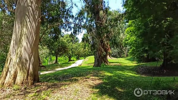 Дендрологический парк Шекветили (Грузия, Шекветили) фото