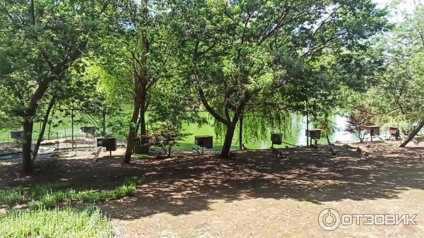 Дендрологический парк Шекветили (Грузия, Шекветили) фото