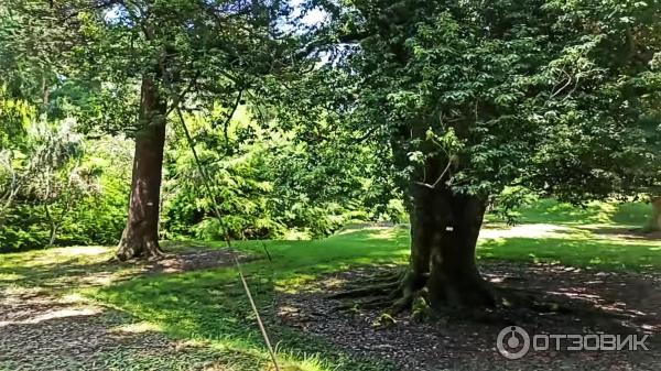 Дендрологический парк Шекветили (Грузия, Шекветили) фото