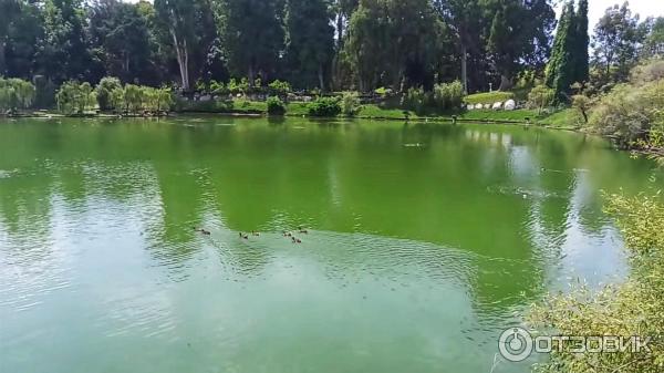 Дендрологический парк Шекветили (Грузия, Шекветили) фото