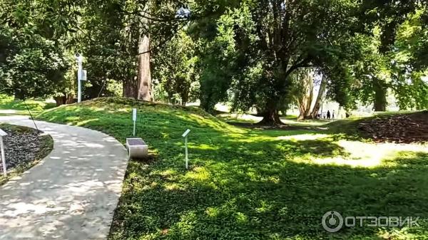 Дендрологический парк Шекветили (Грузия, Шекветили) фото