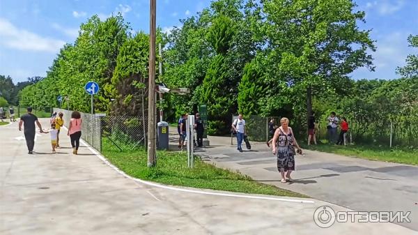 Дендрологический парк Шекветили (Грузия, Шекветили) фото