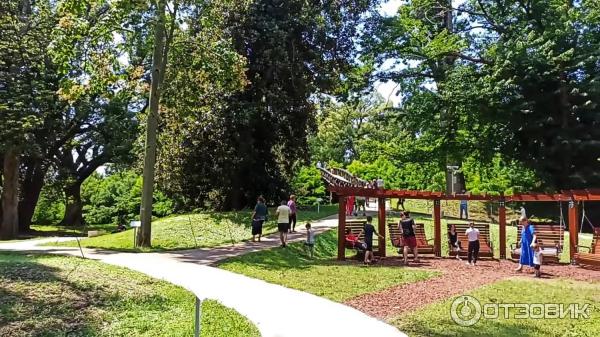 Дендрологический парк Шекветили (Грузия, Шекветили) фото