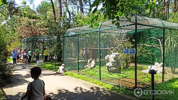 Дендрологический парк Шекветили (Грузия, Шекветили) фото