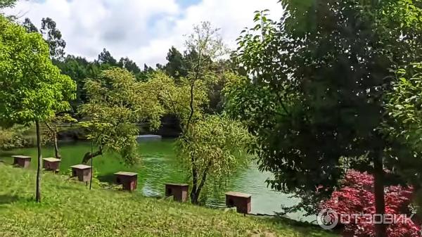 Дендрологический парк Шекветили (Грузия, Шекветили) фото