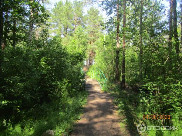 Экскурсия в п. Лебяжье (Россия, Ленинградская область) фото