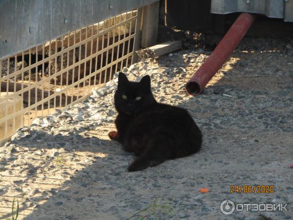 Экскурсия в п. Лебяжье (Россия, Ленинградская область) фото