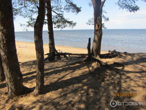 Экскурсия в п. Лебяжье (Россия, Ленинградская область) фото