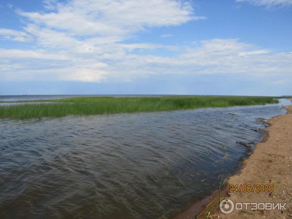 Экскурсия в п. Лебяжье (Россия, Ленинградская область) фото