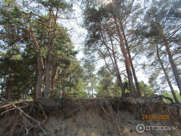 Экскурсия в п. Лебяжье (Россия, Ленинградская область) фото