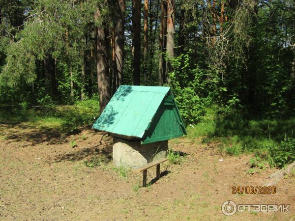 Экскурсия в п. Лебяжье (Россия, Ленинградская область) фото