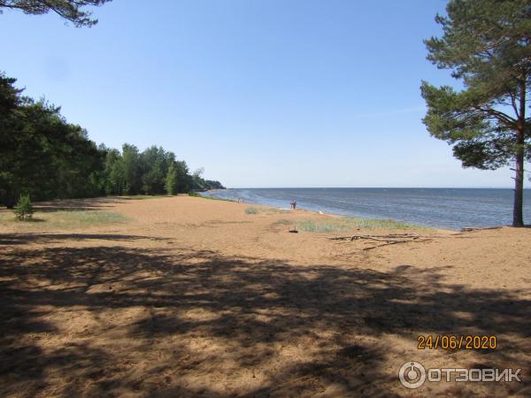 Экскурсия в п. Лебяжье (Россия, Ленинградская область) фото