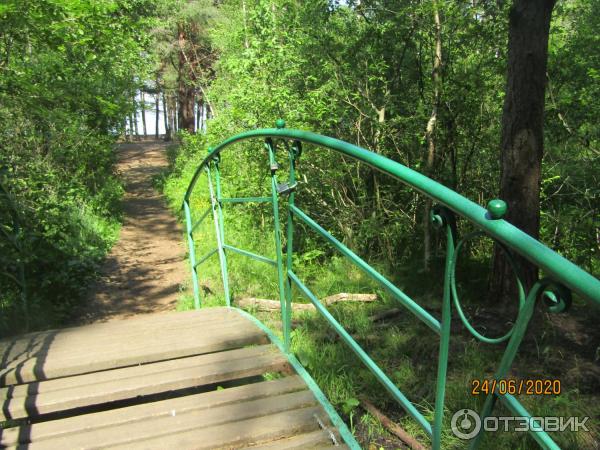 Экскурсия в п. Лебяжье (Россия, Ленинградская область) фото