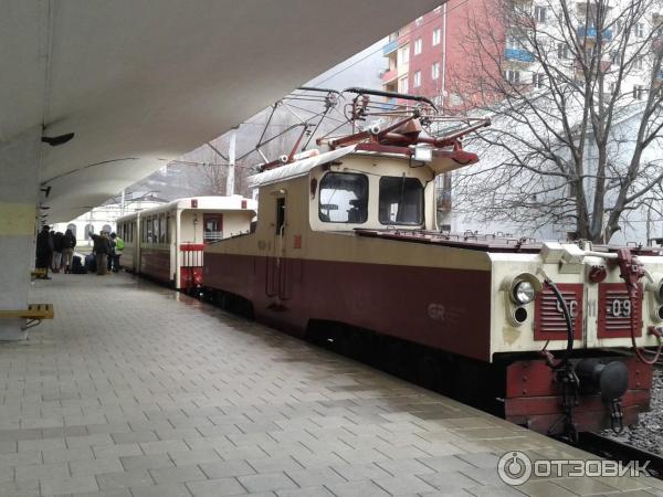 Горнолыжные трассы на горе Кохта в Бакуриани (Грузия, Самцхе-Джавахетия) фото