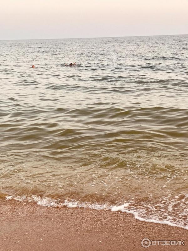Тот самый день когда вода была чистой без водорослей