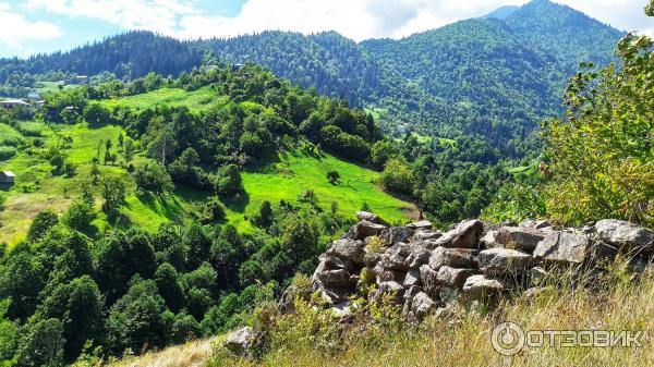 Горная аджария фото