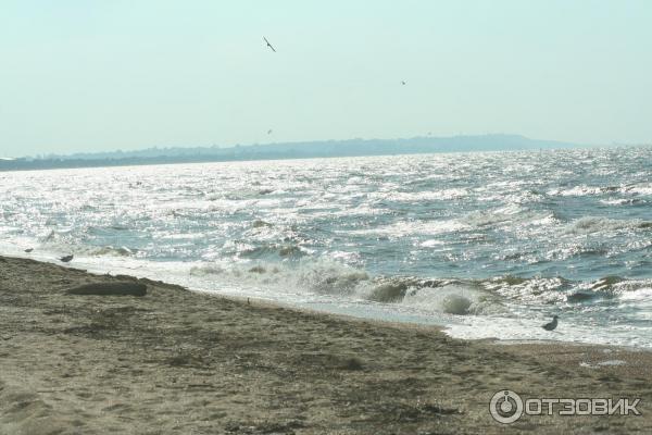 Автопутешествие на Азовское море (Россия, Краснодарский край) фото