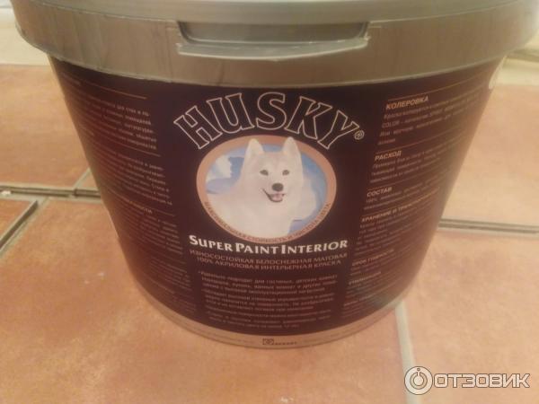 Краска для стен Husky