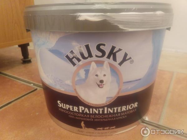 Краска для стен Husky