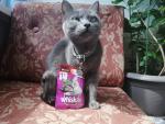 Продукция Whiskas фото
