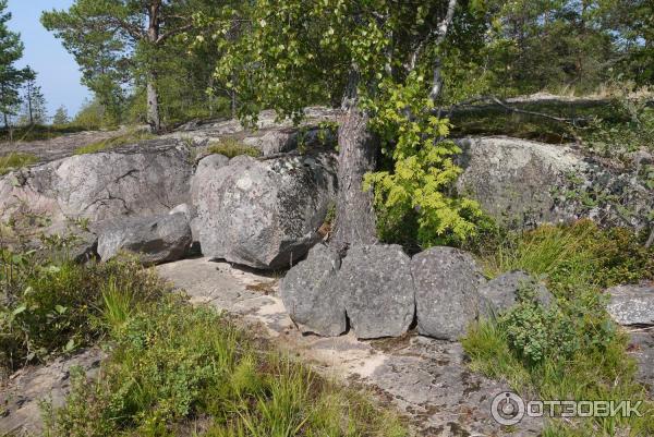 Онежское озеро (Россия, Карелия) фото