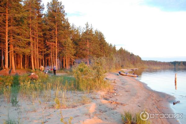 Онежское озеро (Россия, Карелия) фото