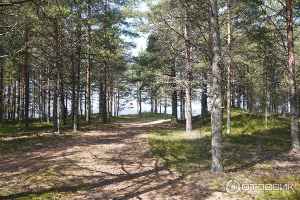 Онежское озеро (Россия, Карелия) фото