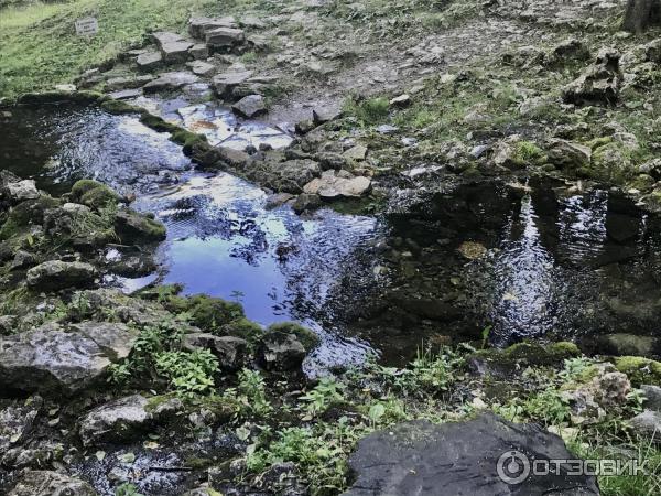 Святой Источник преподобного Давида в селе Талеж (Россия, Чехов) фото