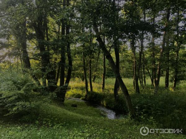 Святой Источник преподобного Давида в селе Талеж (Россия, Чехов) фото