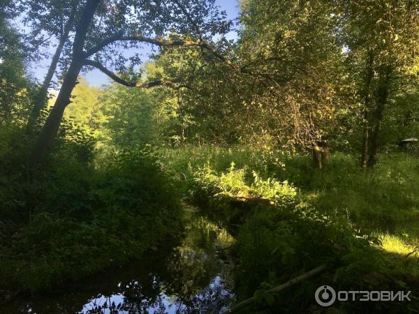 Святой Источник преподобного Давида в селе Талеж (Россия, Чехов) фото