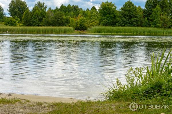 Пляж в поселке Чертовицы (г. Воронеж)