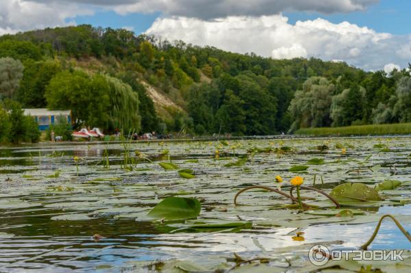 Пляж в поселке Чертовицы (г. Воронеж)