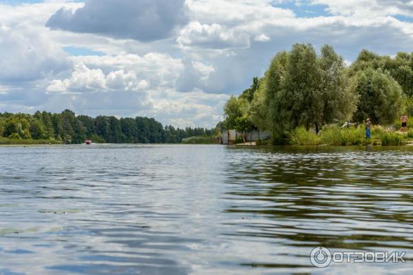 Пляж в поселке Чертовицы (г. Воронеж)