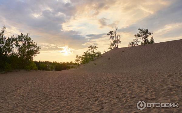 Парк Sandbanks Provincial Park (Канада, Онтарио) фото