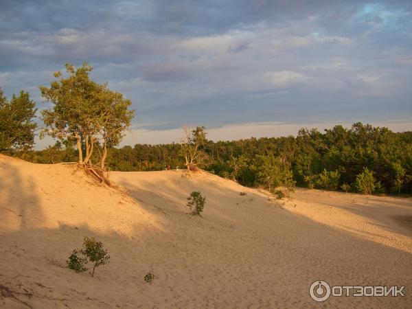 Парк Sandbanks Provincial Park (Канада, Онтарио) фото