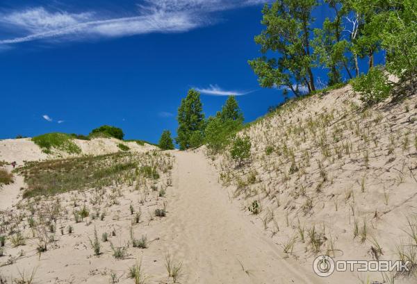 Парк Sandbanks Provincial Park (Канада, Онтарио) фото