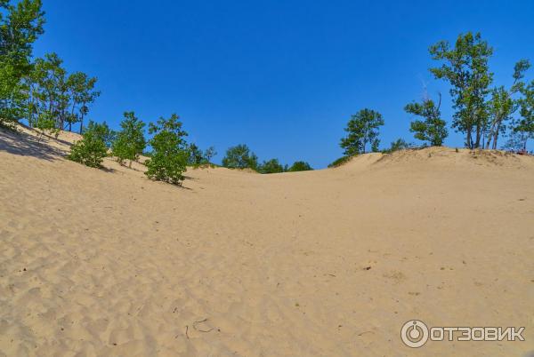 Парк Sandbanks Provincial Park (Канада, Онтарио) фото