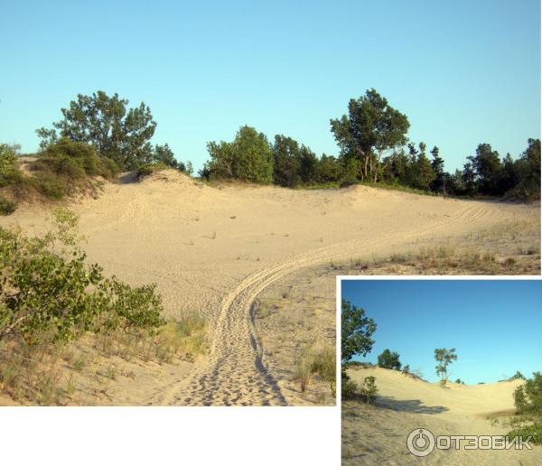 Парк Sandbanks Provincial Park (Канада, Онтарио) фото