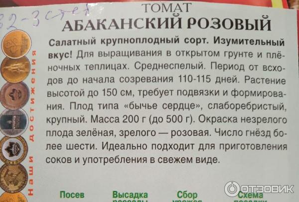 Абаканский розовый томат отзывы