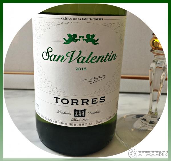 Вино Torres San Valentin White фото