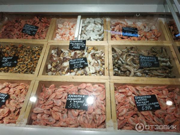 Осьминог саратов фото